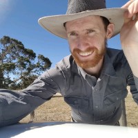 Tom Miller