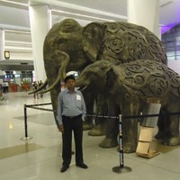 PINTU ROY