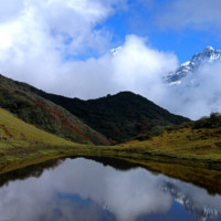 Enio Viana