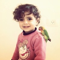 Abeer Abu-Foul
