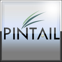 Pintail Media