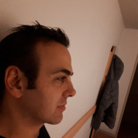 Sergio Ottin Fasse