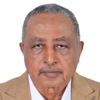 Khalid Siddig