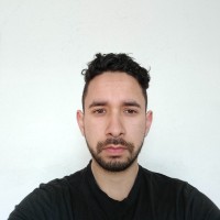 Carlo Vite