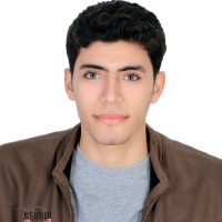 Mostafa Amer
