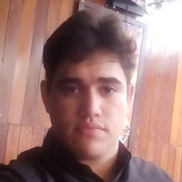 Frederico L Gomes