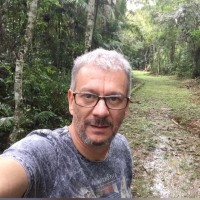 Carlos José Amaral