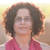 גלית דן