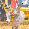 Ladch Chandru