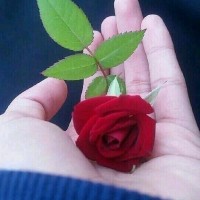 Syeda Fariha