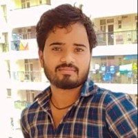 Dinesh Kumar WordPress Developer