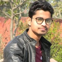 VIPIN LISARIA