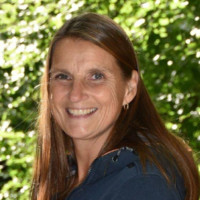Ann Linsér