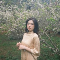 An Nguyen