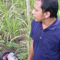 Sony Anggoro Wijayanto