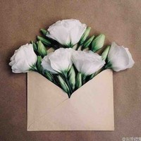 杨玥亮