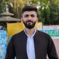 Hedi M. Aziz