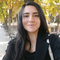 Nilay Nur Sarı