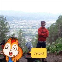 Andles Ferdinan