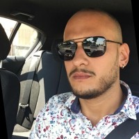 luca modenese