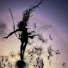 catherine bride