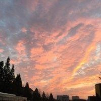 王杰烽