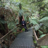 David Mcguinness