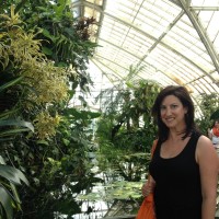 Donna Brodman