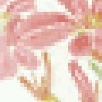 梁伟娟