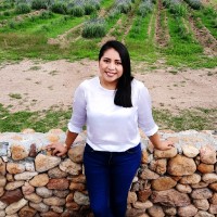 María Julissa Sánchez Ramírez