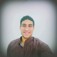Alaa Mohamed Moatamed