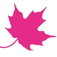 Agence Naturine Communication Lyon
