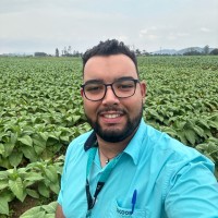 Marcus Vinícius Otaram Vargas