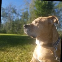 Curtis Coleman