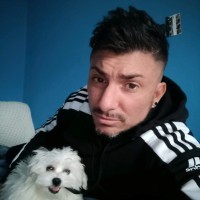 Daniele Ferro