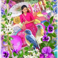Myo Min Htet