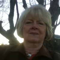 Pam Barkhaus