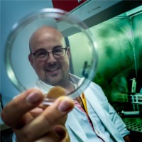 Miguel Angel Ortiz Ortiz, PhD