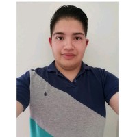 Francisco Alejandro Villalobos Ramos