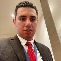 Salah Sabry Icsa, Ccgo, Ifsah, Ifrs For Esg