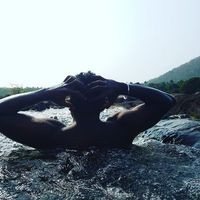 Rahul Raj