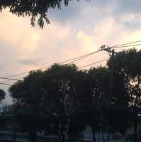 No Thing