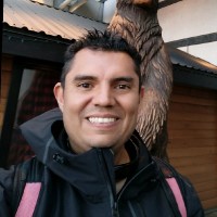 Mario Palomino V