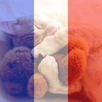 Sandrine Patin