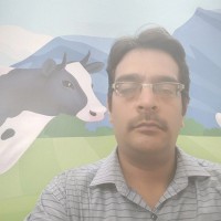 Karthikeyan V