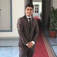 mahmoud ibrahim metwally