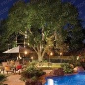 Silver Springs Pool and Spa