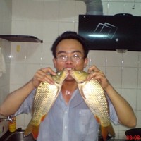 Joey Yu