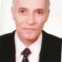 sayed abdelhamid