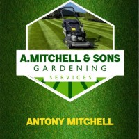 Antony Mitchell